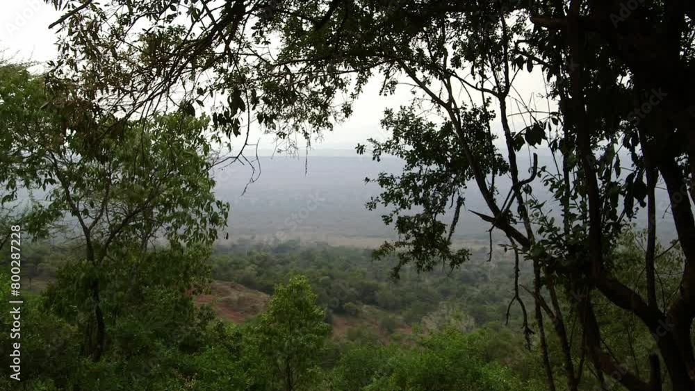 View of African Savannah through the trees. View of African Savannah through the trees.