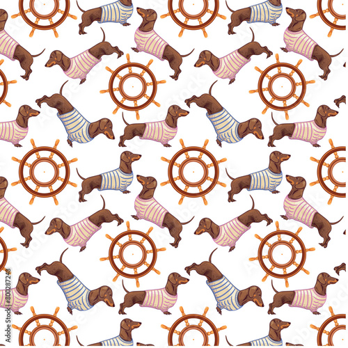 Dachshund sailor in a striped sailor suit and a helm on a white background. Marine Pattern with cute dachshund dogs. Vector background for postcard, yacht club, wrapping paper, decoration