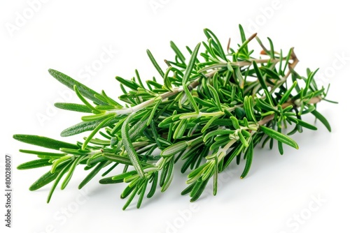 Rosemary also called r officinalis