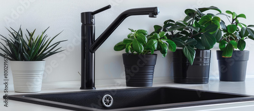Black kitchen faucet closeup with sink and green plants in a modern white kitchen interior. Fashionable plumbing fixtures for the home.
