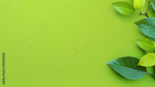 green leafy branches decoration