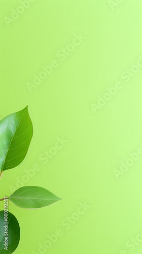 green leafy branches decoration
