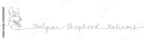 Belgian Shepherd, Malinois, dog breed, shepherd dog, service dog one line art. Continuous line drawing of friend, doggy, care, pet, animal, family, canine with inscription, lettering, handwritten.