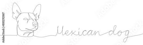 Xoloitzcuintli dog breed, Mexican hairless dog, national dog of Mexico one line art. Continuous line drawing of friend, doggy, pet, animal, family, canine with inscription, lettering, handwritten.