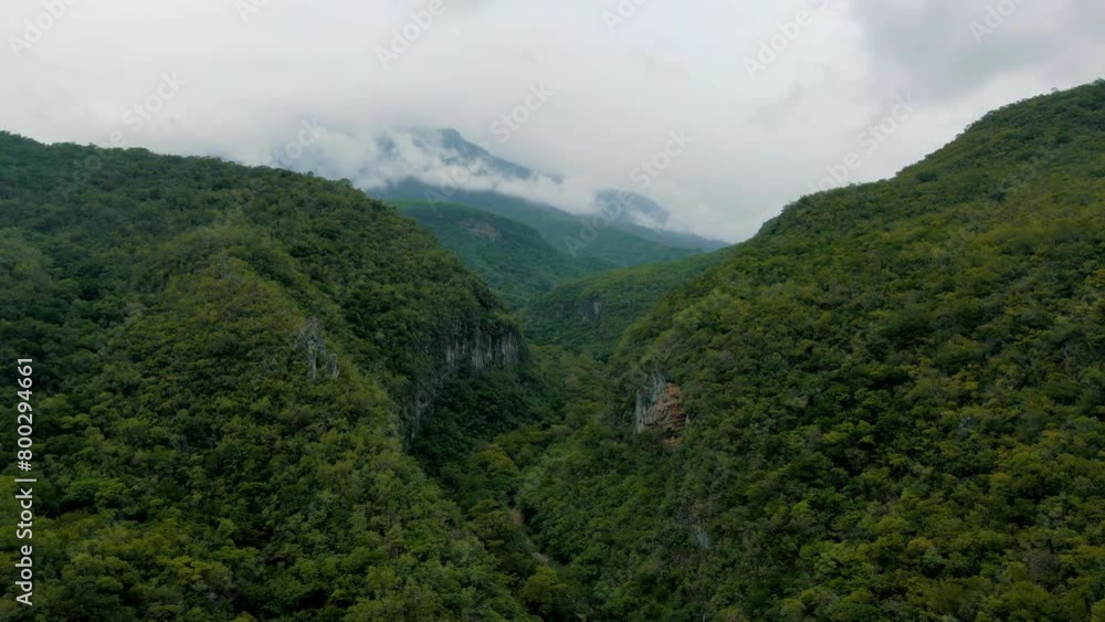 Aerial view over a huge green forest in the mountains with beautiful cliffs and clouds in the background, drone footage Aerial view over a huge green forest in the mountains with beautiful cliffs and clouds in the background, drone footage