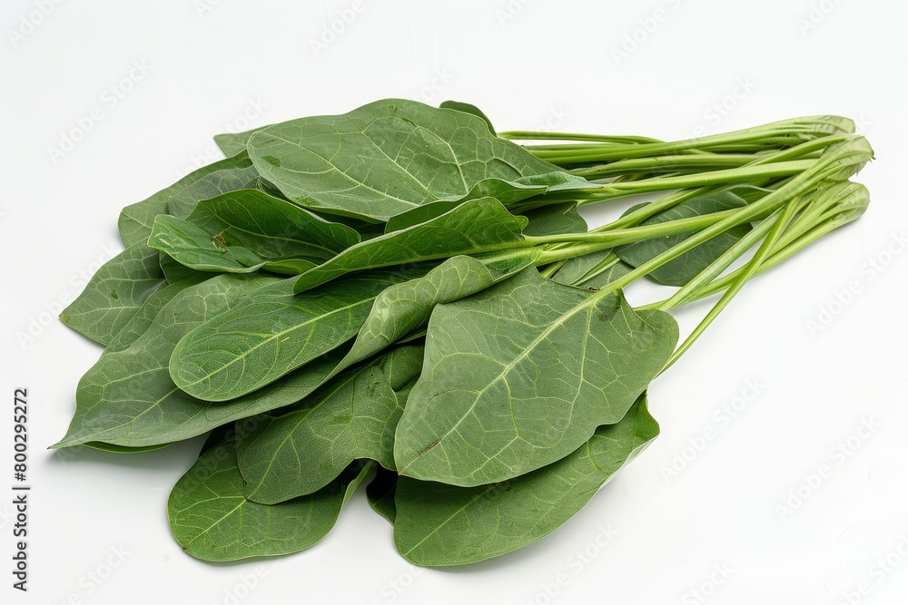 Sawi leaves are oval wrinkled slightly hairy green with a fresh aroma and bitter taste They are rich in vitamins and fiber and are used in cooking stir fries sou Sawi leaves are oval wrinkled slightly hairy green with a fresh aroma and bitter taste They are rich in vitamins and fiber and are used in cooking stir fries sou