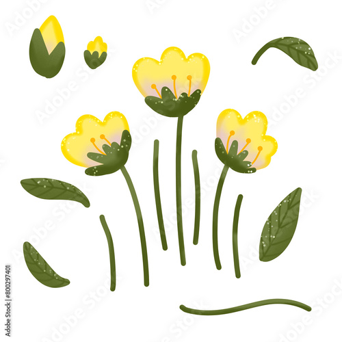  yellow flowers art by sabilafaii