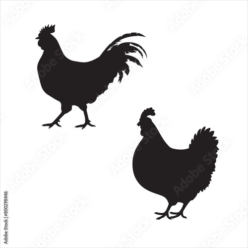 hen chicken silhouette set,hen silhouettes,silhouettes of hen chicken. vector Illustration