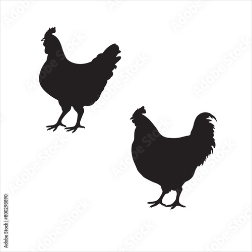 hen chicken silhouette set,hen silhouettes,silhouettes of hen chicken. vector Illustration