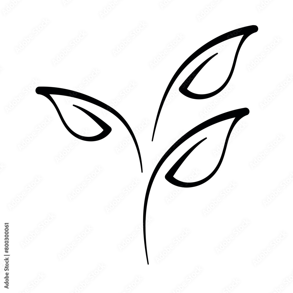 Calligraphy Black Plant Calligraphy Black Plant