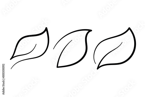 Calligraphy Leaves Black Set
