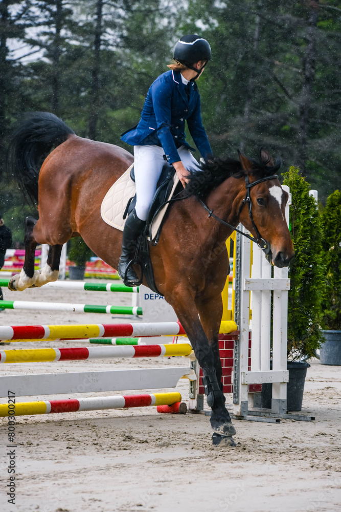 Beautiful young woman on her mare during a show jumping competition Beautiful young woman on her mare during a show jumping competition