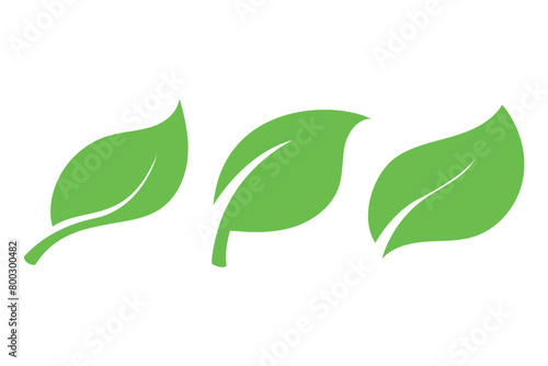 Green Leaves Set