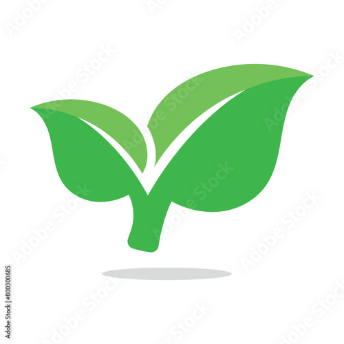 Leaves Half Shadow