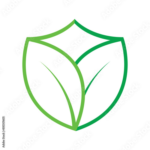 Shield Shape Leaves