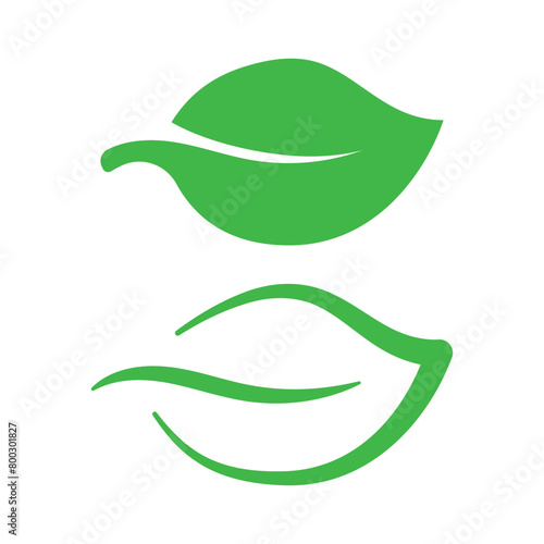 Two Green Leaves