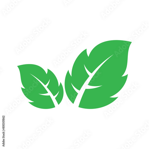 Two Leaves Flat Style