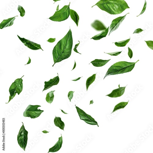 Green leaves movement falling down