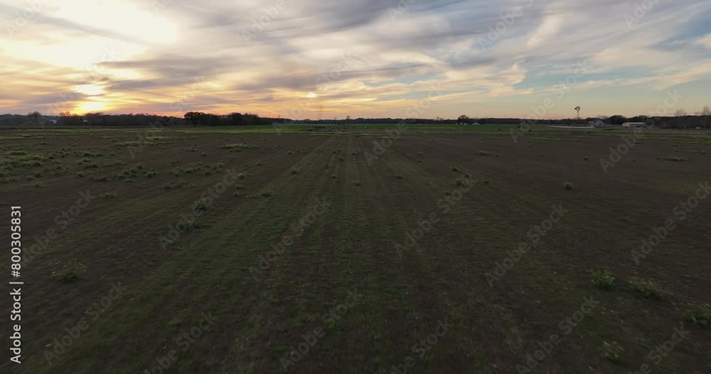 Drone view of farm with cows at sunset in Alabama Drone view of farm with cows at sunset in Alabama