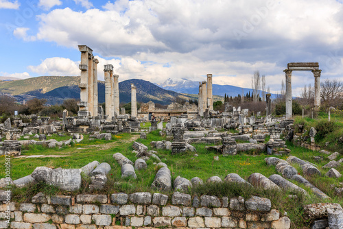 The extensive ruins of Afrodisias lay scattered before a stunning mountain backdrop, where the grandeur of nature meets the echoes of ancient civilization in serene harmony.