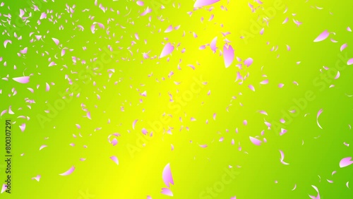 Pink cherry petals falling and flowing on the wind from bright green gradient background. Abstract background with a scene of Spring time in Japan. photo