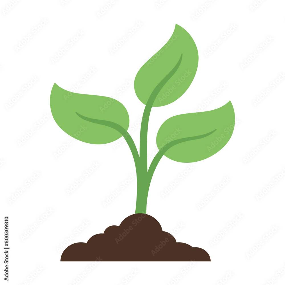 Plant In Dirt Flat Colours Plant In Dirt Flat Colours