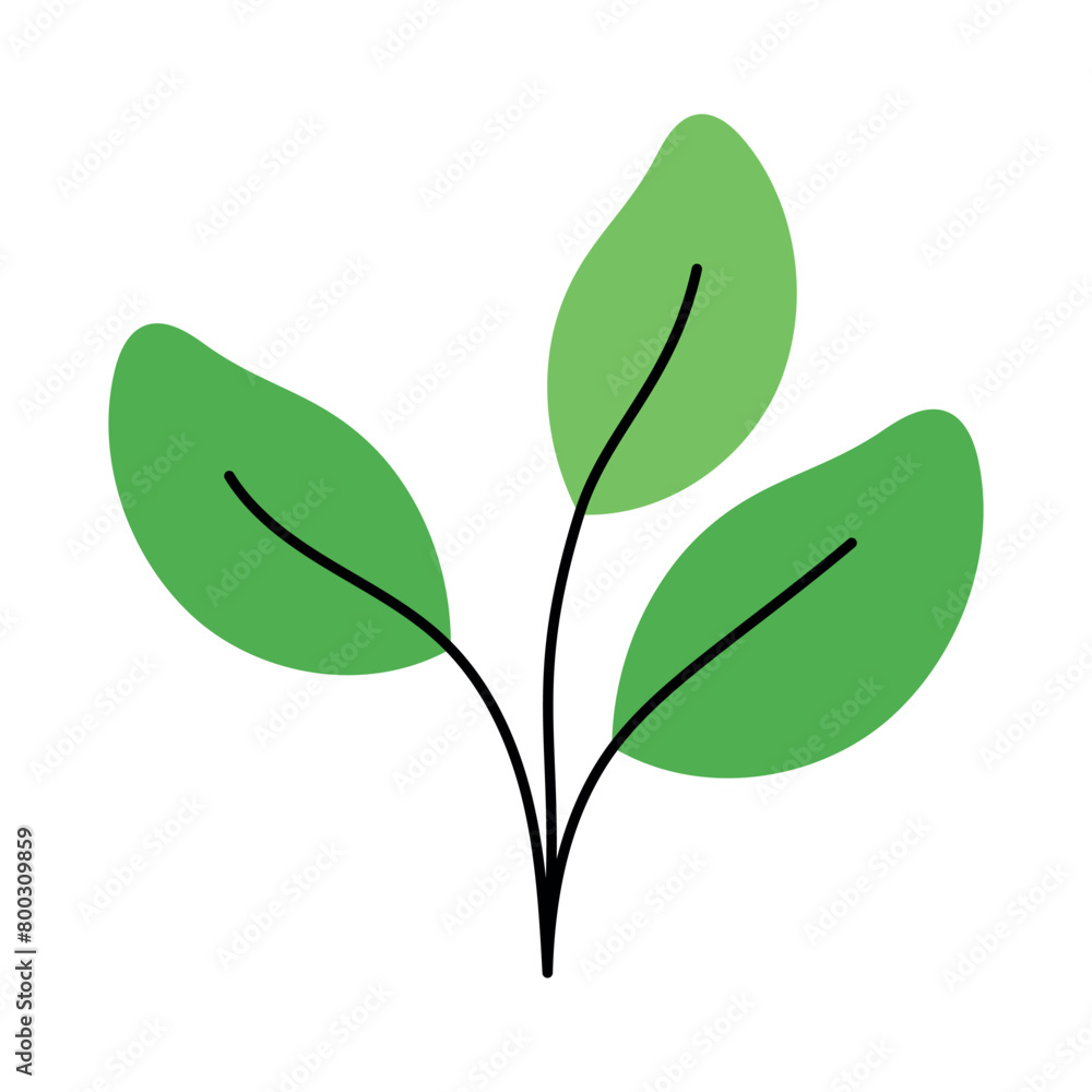 Plant Leaves Hand Drawn Black and Green Plant Leaves Hand Drawn Black and Green
