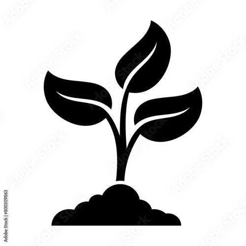 Plant In Dirt Silhouette