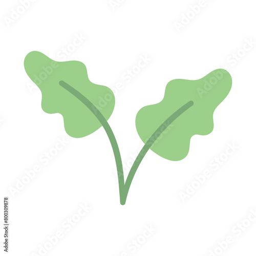 Plant Leaves Hand Drawn