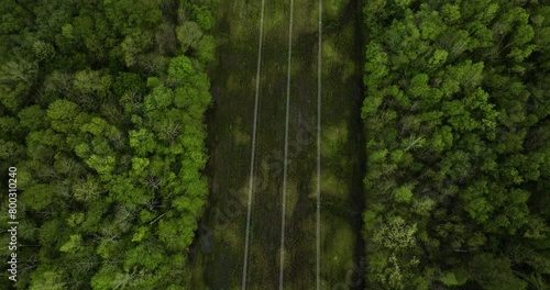 Power Transmission Towers And Lines On Wetlands Through Dense Forest At William B. Clark State Natural Area, Tennessee. aerial tilt-up photo