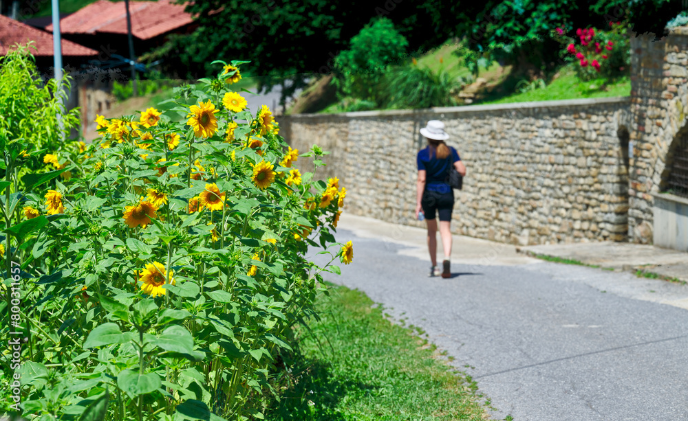 Obraz premium Woman walking through the streets of Sale San Giovanni village, Piedmont, Italy