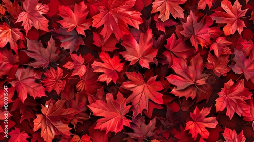 Maple leaf seamless pattern, vibrant red background, perfect for a travel and regions magazine cover, aerial view photo