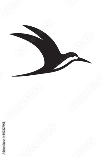 skimmer Birds Silhouette Vector Art 