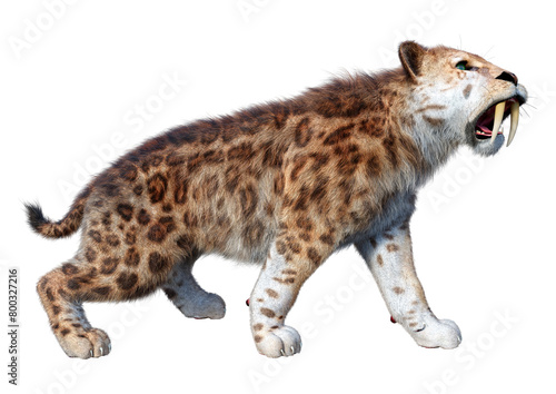 Photography 3D Rendering Saber Toothed Tiger on White