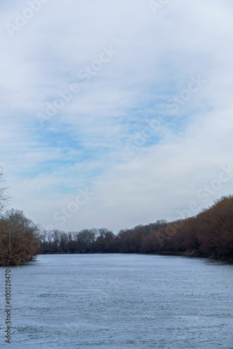 late autumn landscape, forest on the river bank, old trees and withered leaves and grass, cloudy weather © soleg