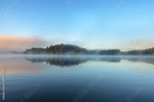 Pine Trees with Blue Water Reflection