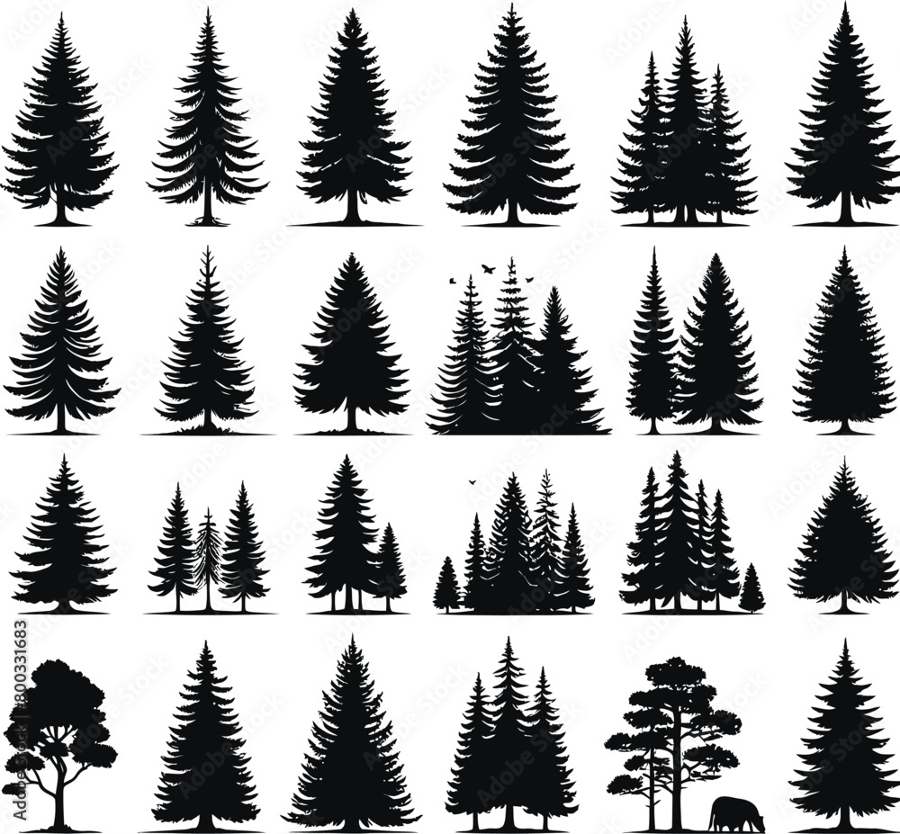 Trees silhouettes. Forest and park pines firs and spruces, coniferous and deciduous trees. Trees silhouettes. Forest and park pines firs and spruces, coniferous and deciduous trees.