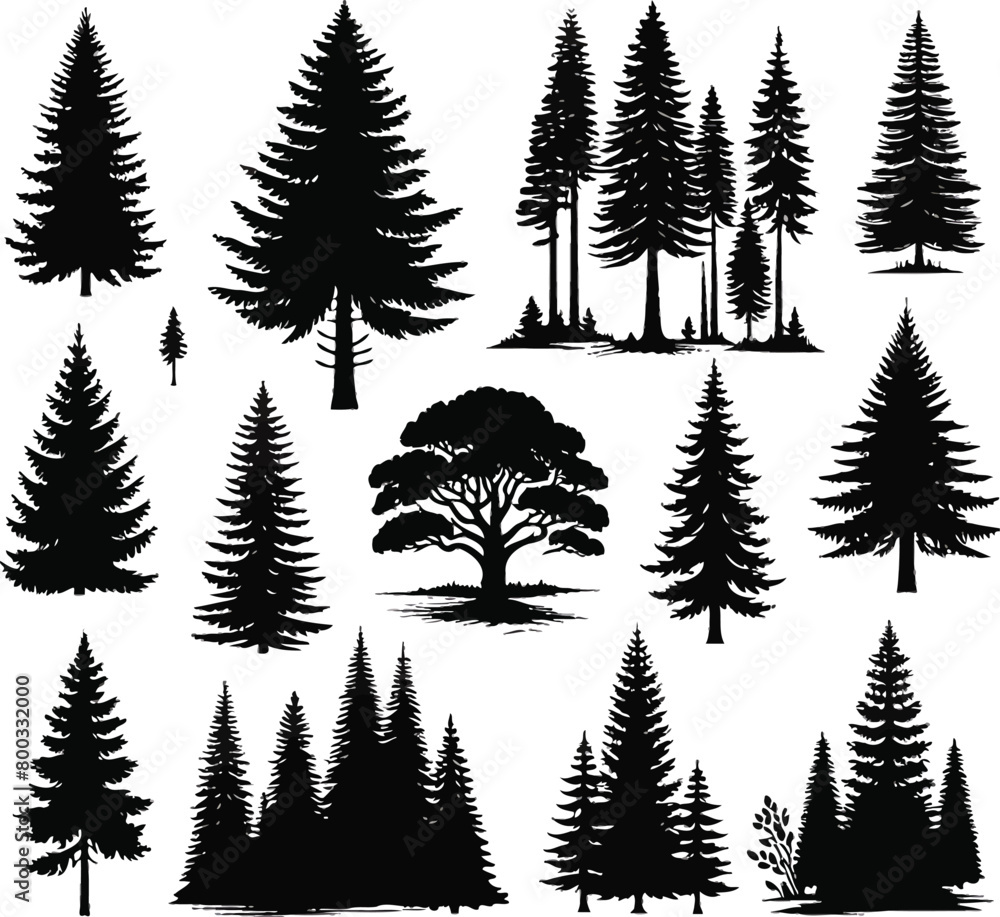 Obraz premium Trees silhouettes. Forest and park pines firs and spruces, coniferous and deciduous trees.