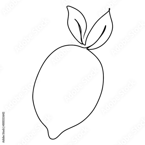 Continuous one line drawing of lemon with leaves. Doodle vector illustration