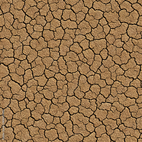 Dry ground texture seamless