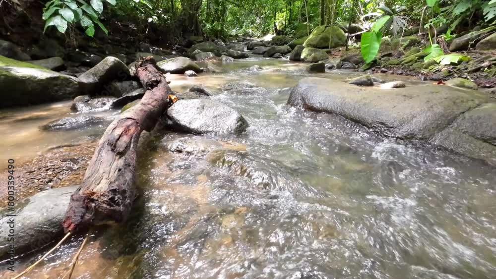View of a Gentle tracking shot through a picturesque river with gently flowing water and large stones 4K resolution View of a Gentle tracking shot through a picturesque river with gently flowing water and large stones 4K resolution