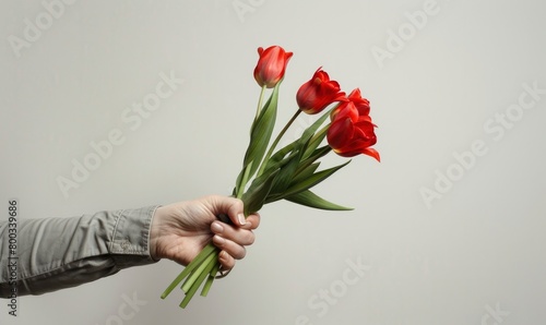 A hand holding a bouquet of tulips on a white background, #800339686