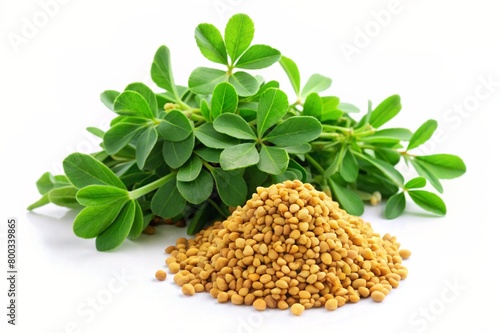 heart leaved moonseed ayurvedic top view on white background