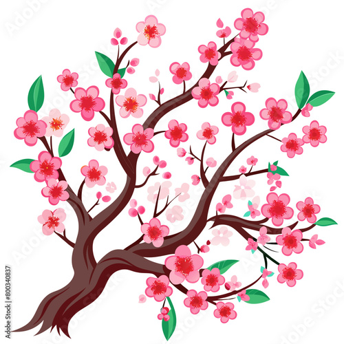 illustration of sakura