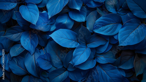 Blue color Leafs in garden background, macro pattern.