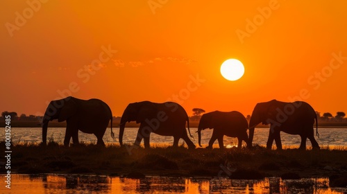 A captivating scene of a herd of African elephants walking in silhouette against a vibrant orange sunset sky