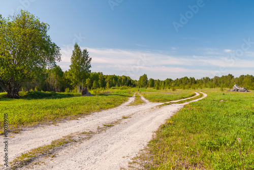 A dirt field road crosses a green pasture surrounded by forest
