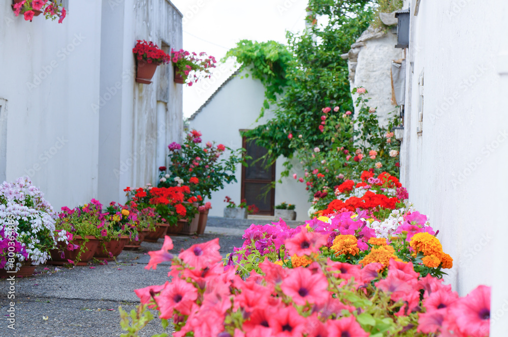 鮮やかな花が道を彩るヨーロッパの観光地