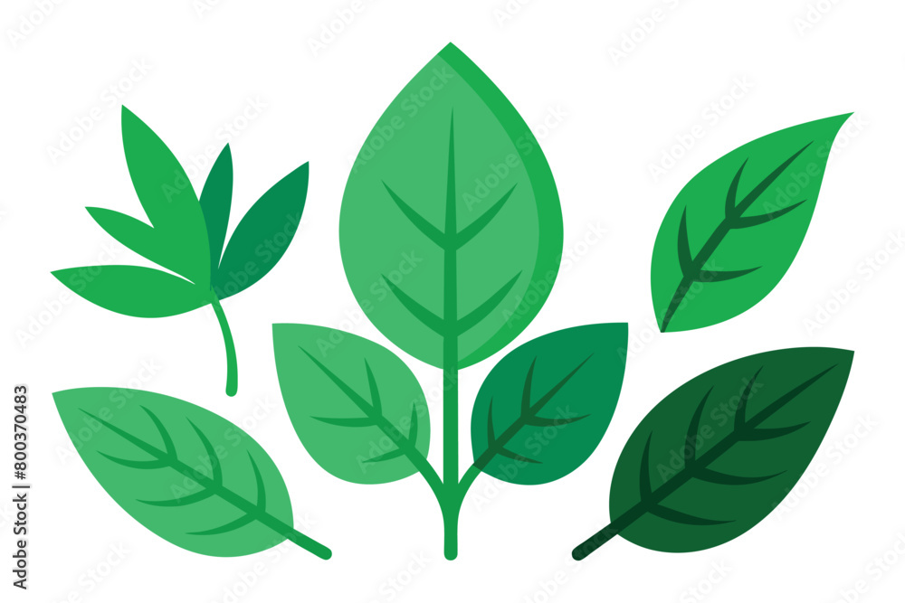 Green Leaves Clipart Set design