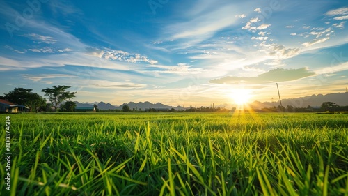 A green field with the sun setting in the background  casting a warm glow on the landscape